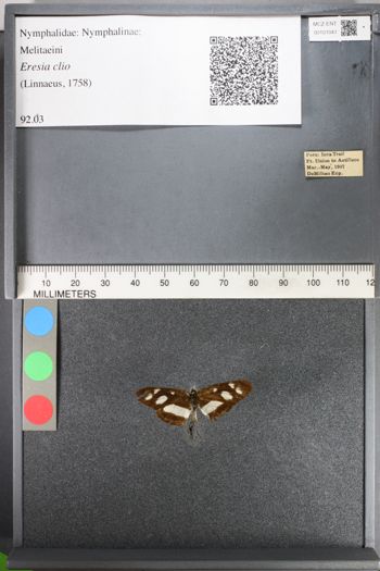 Media type: image;   Entomology 101041
